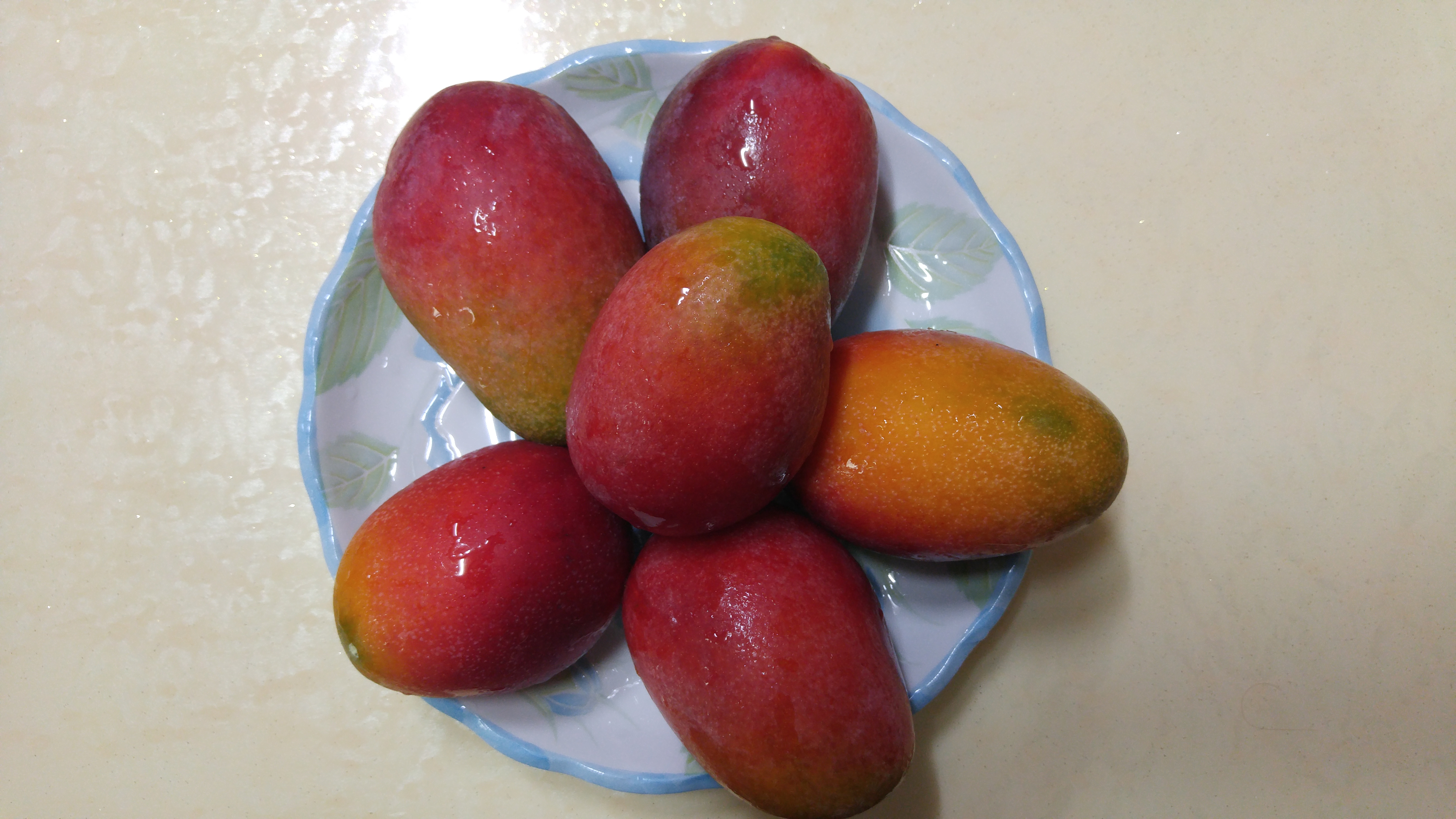 애플망고 (8).jpg